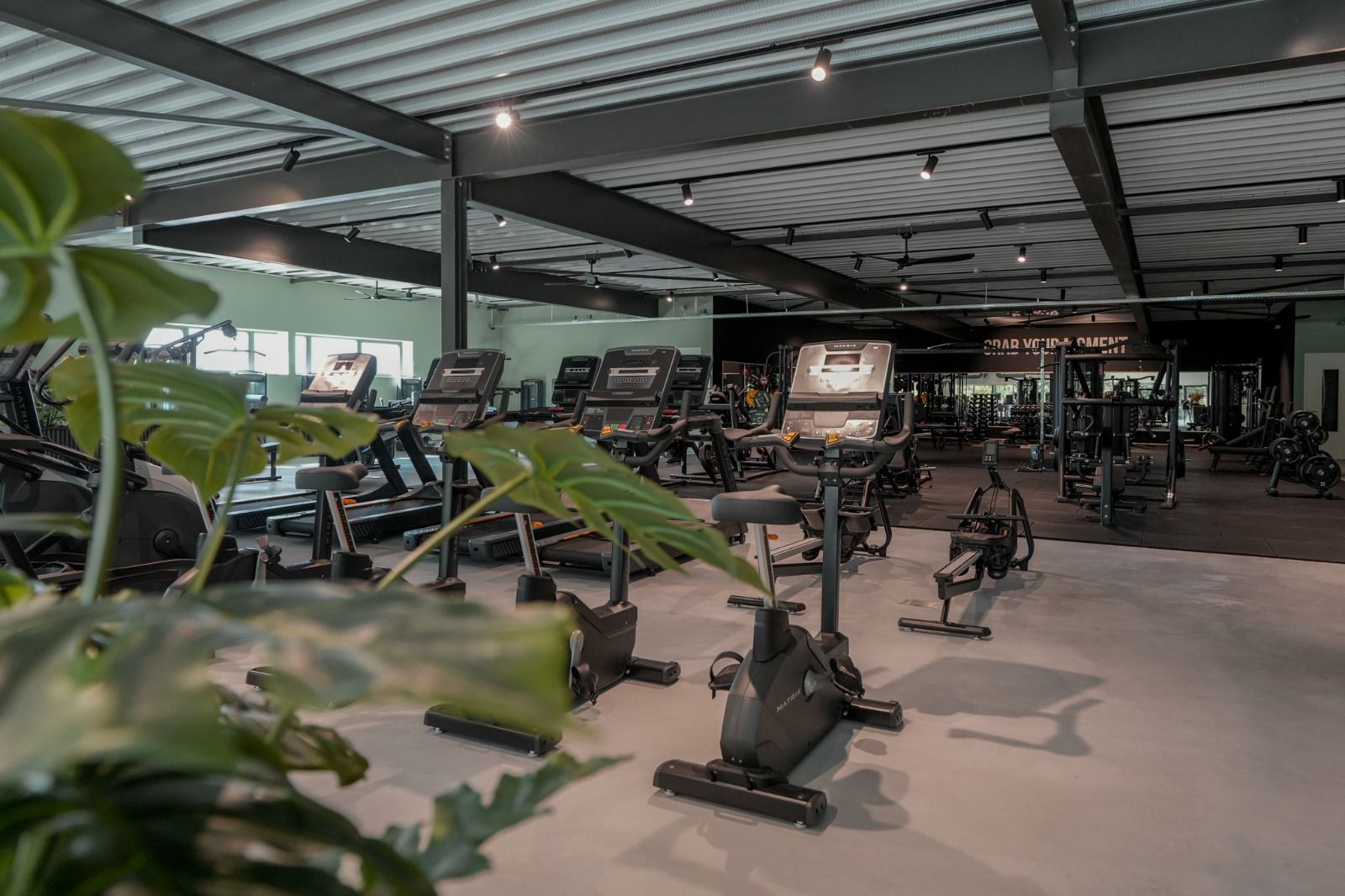 WhatsApp Image 2025-09-17 at 22.02.14 (8)