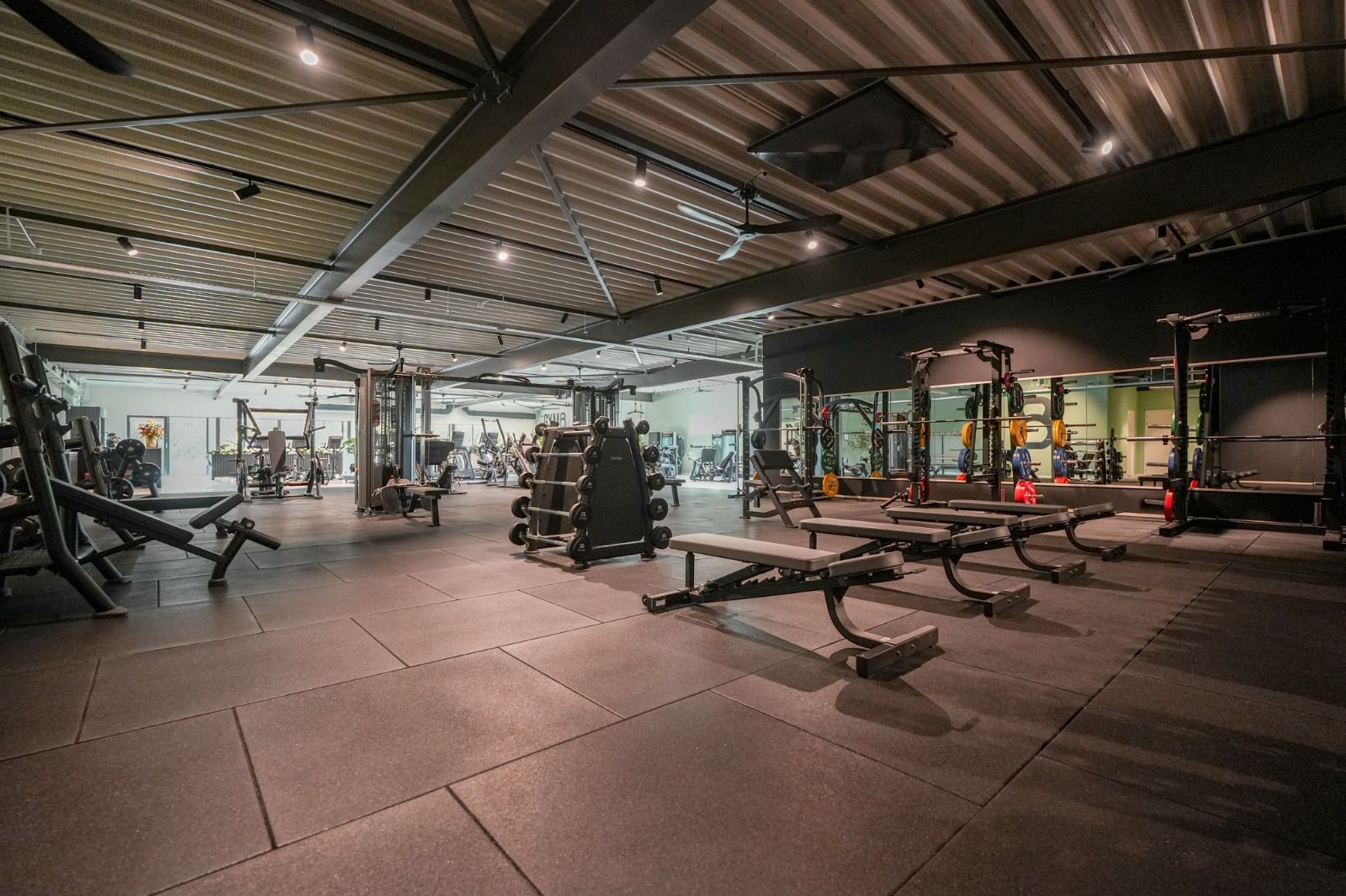 WhatsApp Image 2025-09-17 at 22.02.16 (1)