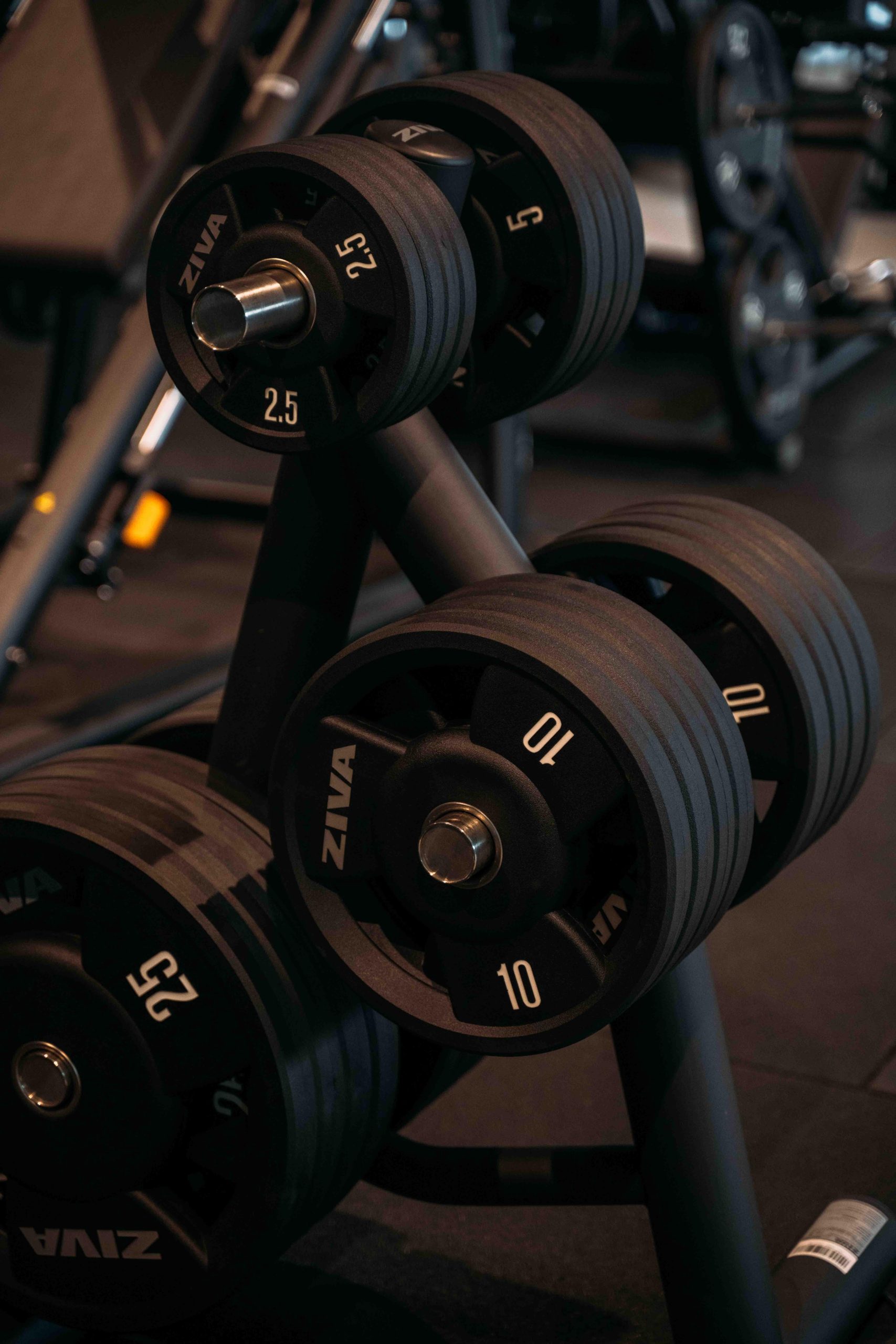 BOEST X GYM8 � januari 2026 (LR)-51